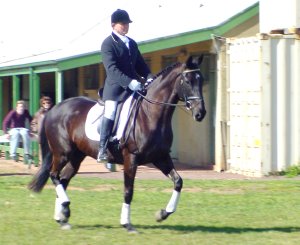 milawaillusion21.jpg (19769 bytes)