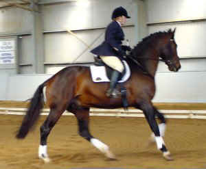 mpizazz11.jpg (17186 bytes)