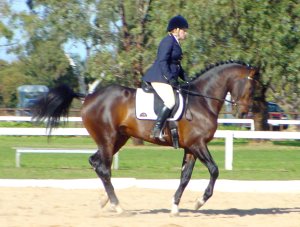 mpizazz21.jpg (21631 bytes)