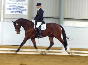 pasadoble1.jpg (15212 bytes)