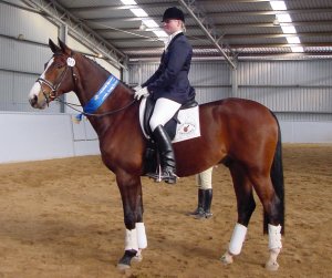 ppasadoble1.jpg (21717 bytes)