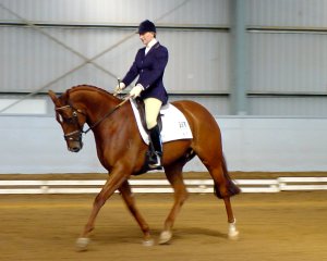 quill1.jpg (15862 bytes)