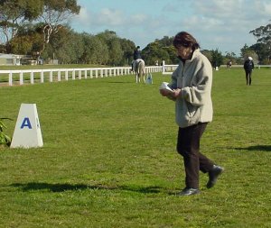 rosemary1.jpg (23991 bytes)