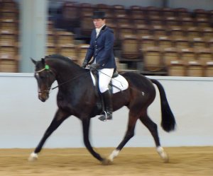 sapmeccano1.jpg (15945 bytes)