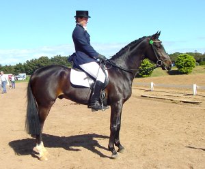 sapmeccano4.jpg (19627 bytes)