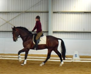 sarnover1.jpg (15330 bytes)