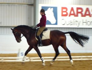 sarnover2.jpg (17089 bytes)