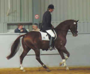 scoolcat1.jpg (13226 bytes)