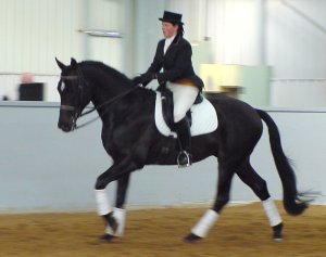 selectronic1.jpg (13670 bytes)