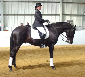 selectronic2.jpg (22644 bytes)