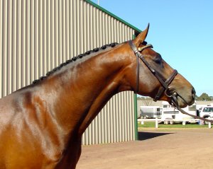 sjbromage3.jpg (18555 bytes)