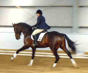 smpizazze1.jpg (15454 bytes)