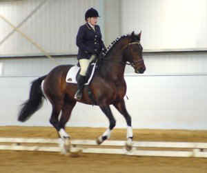 spizazze2.jpg (14952 bytes)