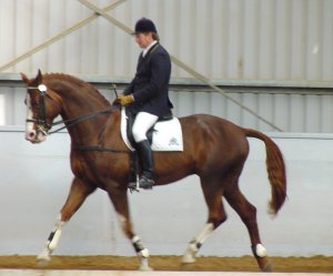 srituel1.jpg (15428 bytes)