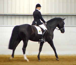 walton1.jpg (15340 bytes)