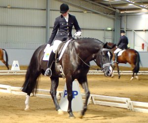 walton16.jpg (22541 bytes)