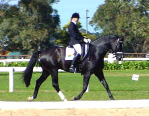 walton21.jpg (23769 bytes)