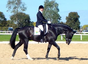 walton22.jpg (22932 bytes)