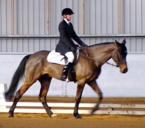 wandhanaclassicsilk1300.jpg (19815 bytes)