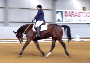 woodleighrouletto1.jpg (14796 bytes)