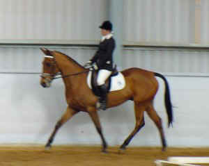 wprhythmicblue1.jpg (12437 bytes)