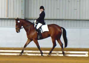 zorro1.jpg (14577 bytes)