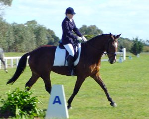 zorro21.jpg (19126 bytes)