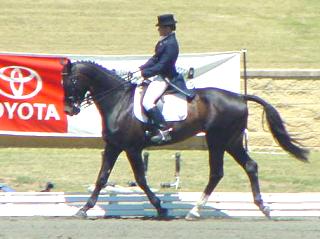 inter1fourwindsw1.jpg (17262 bytes)