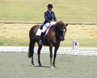 judykaz1.jpg (15687 bytes)