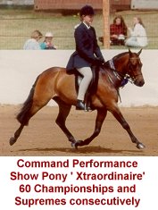 commandperformance180.jpg (15745 bytes)