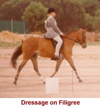 dressageonfiligree200.jpg (10436 bytes)