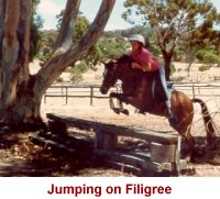 jumpingfiligree.jpg (14518 bytes)