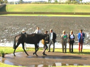 Stuart Tinney &amp;amp; RL Taxman at the Third HorseInspection300.JPG (21393 bytes)