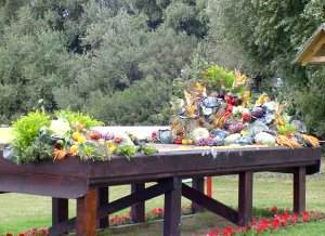 65fruitjump.jpg (27186 bytes)