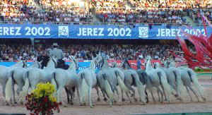 52show.jpg (22483 bytes)