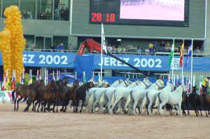 54show.jpg (21766 bytes)