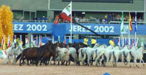 55show.jpg (17954 bytes)