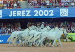 56show.jpg (20225 bytes)