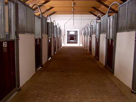 Inside view of stables