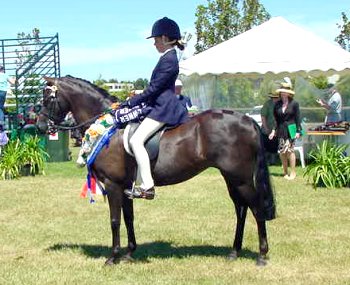 spordunelmlace.jpg (33986 bytes)