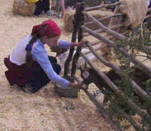 dbabygoat.jpg (19675 bytes)