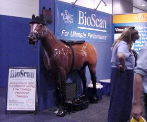 dbioscan1.jpg (15300 bytes)