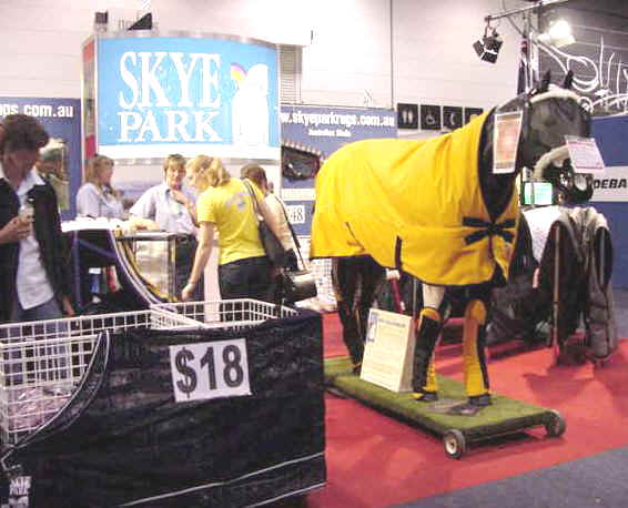 dskyepark1.jpg (53909 bytes)