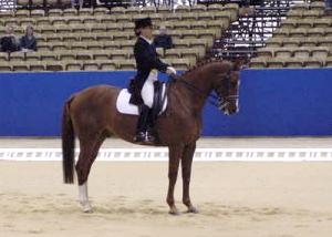 gpcentaur1.jpg (13451 bytes)