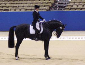 gpdongiorgio1.jpg (12068 bytes)