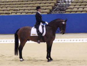 gplimbo1.jpg (11937 bytes)