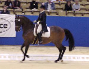 gpmheights1.jpg (12176 bytes)