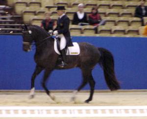 gpsrb1.jpg (12363 bytes)