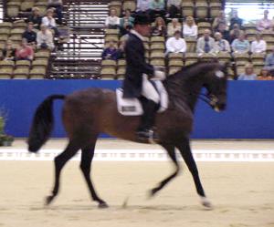 gpstilton1.jpg (15465 bytes)