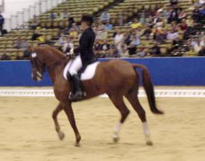 kurcentaur1.jpg (13581 bytes)
